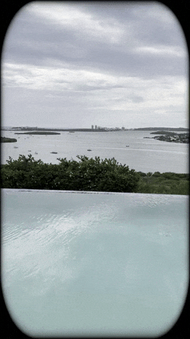 ArtZMiami GIF