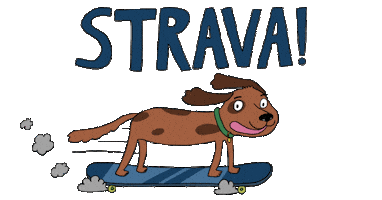 Skater Dog Sticker
