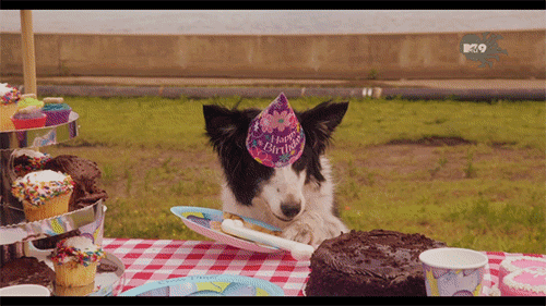 Download Cute Puppy Happy Birthday Gif Png Gif Base