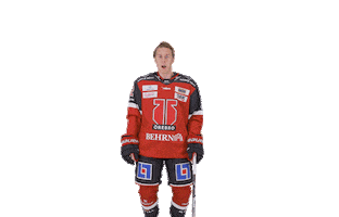 Bobby Orebro Sticker by Örebro Hockey
