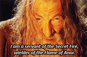 The Lord Of The Rings Rebecca GIF