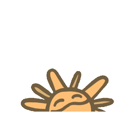 SuzyQ Doughnuts Sticker