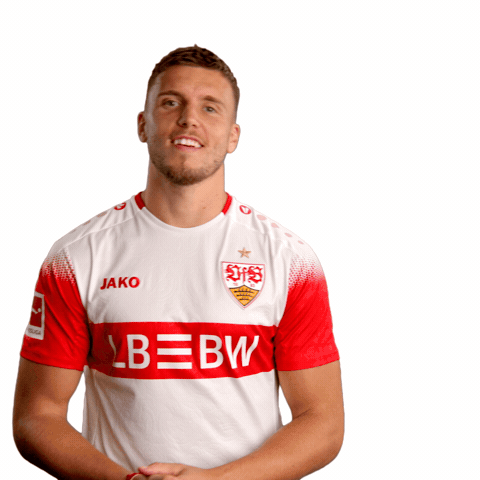 Goal Jako GIF by VfB Stuttgart 1893