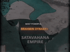 Brahmin GIF