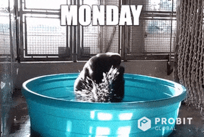 Dance Water GIF by ProBit Global