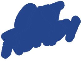 Colorowdies Sticker