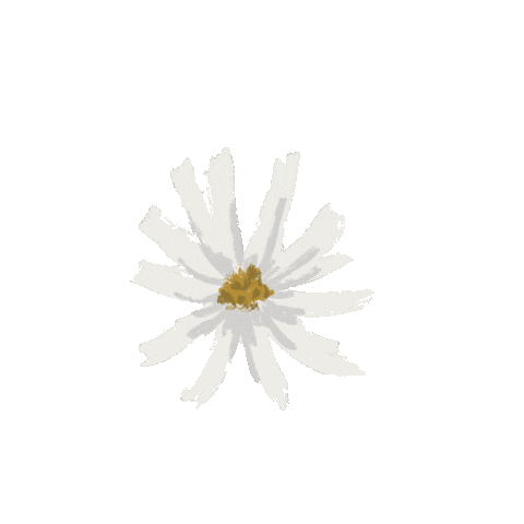 Wildflowercreativeut Sticker