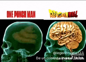 One Punch Man Goku Meme GIF