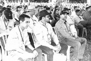 Solo Verde Agribusiness GIF