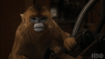 Golden Monkey Hbo GIF by His Dark Materials