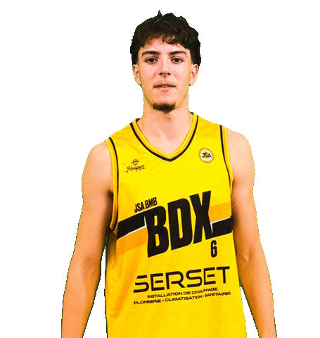 Basket Bordeaux Sticker by JSABMB