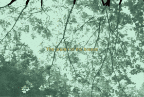 GIF by The Animation Project