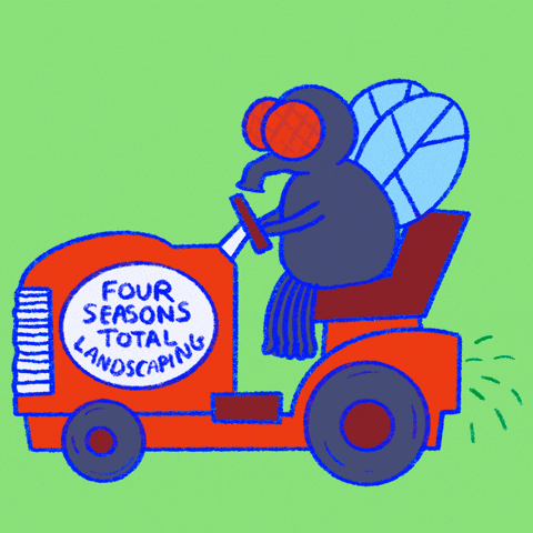 Four-seasons-orlando GIFs - Get the best GIF on GIPHY