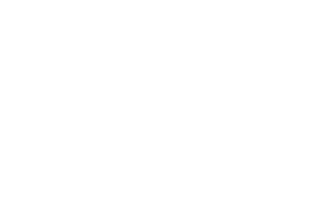 U.S Polo Assn India Sticker