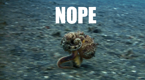 Not Safe For Work Octopus GIF by SnappyTV - Find & Share on GIPHY