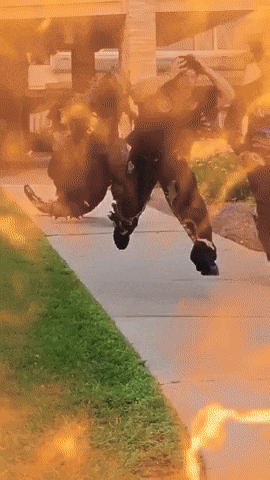 Godzilla Chase GIF