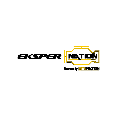 Ekspernation Sticker by Ecunation Remapping Official