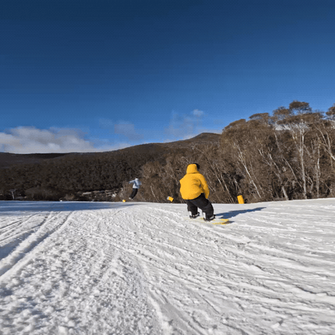 GIF by Thredbo