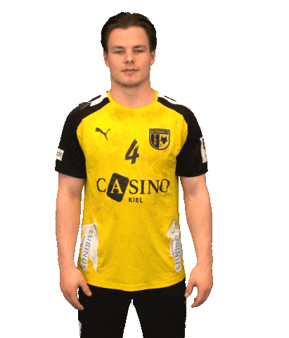 Handball Snake Sticker by Busreisen Andressen Reisen