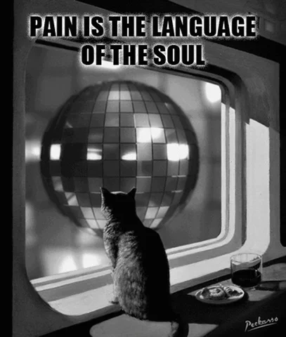 Best Wishes Cat GIF by PEEKASSO