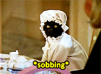 Salem live GIFs - Get the best GIF on GIPHY