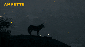 200.gif?cid=fc005b080be6d7d4786a287a2dc73f5e718fc94c7f3b68e1&rid=200.gif&ct=g