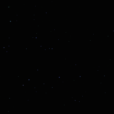 picsel GIF