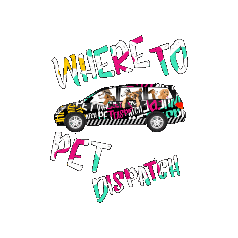 Dog Day Cat Sticker by WHERE TO PET ?