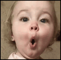 Surprised Comedy GIF
