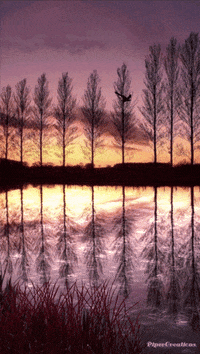 Pipercreations Trees Nature Butterflies Water Reflection Leaves Seasons GIF - Find &
Share on GIPHY
