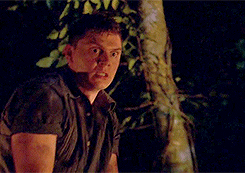 american horror story