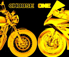 Choose One Royal Enfield GIF by TellStory