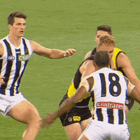 Afl Magpies GIF by CollingwoodFC