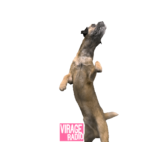 Virage Radio Sticker