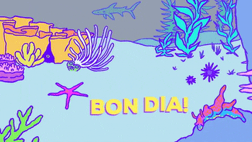 Bon Dia GIF