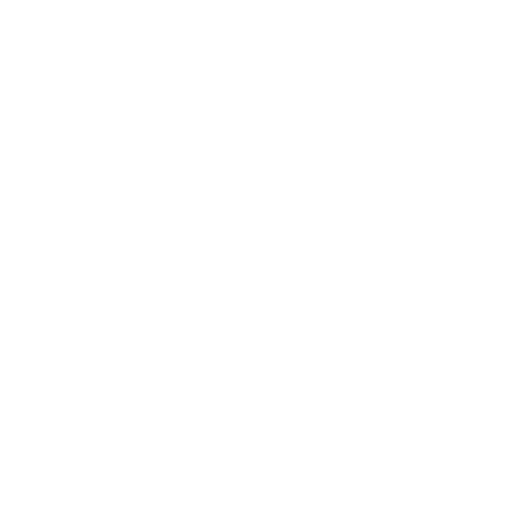 Ricardo Carvalho Sticker