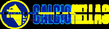 Calcio Hellas GIF