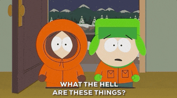 What The Hell Wtf GIF by South Park