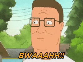 disgusted king of the hill GIF