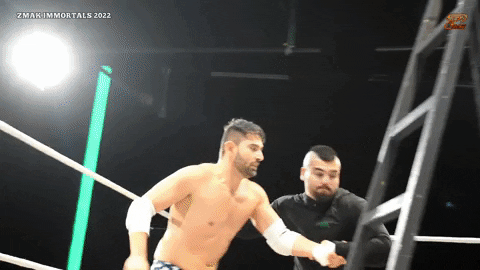 Zmak GIF