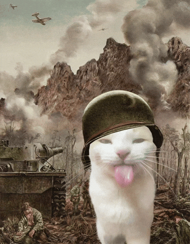 Thousand Yard Stare GIF