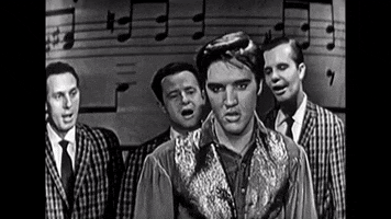 Elvis Presley GIF by The Ed Sullivan Show