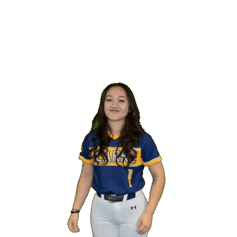 Clarke Softball Sticker by Clarke University