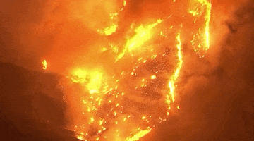 Forest Fire GIF by GIPHY News