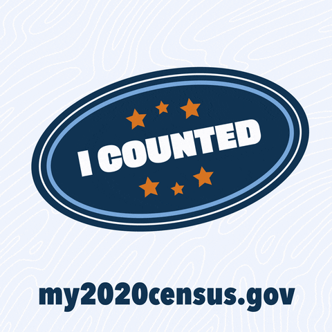 Census 2020 GIF by CASOSvote