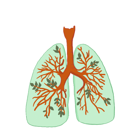 nafas Indonesia Sticker