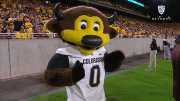 Happy Dance GIF by Pac-12 Network
