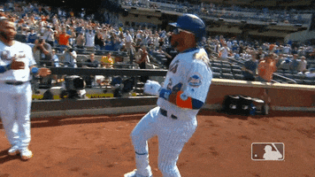 High Five Ny Mets GIF by New York Mets