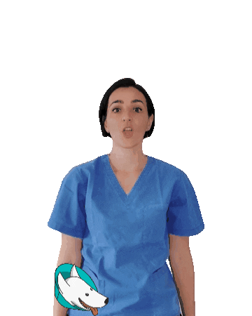 amicaveterinaria Sticker