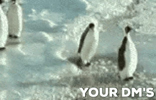 Dm GIF